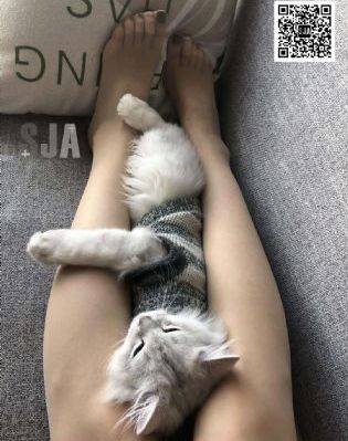 91综合亚洲有码精品福利日韩国产_国语迅雷下载