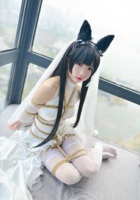 555网站追剧_1080完整视频观看