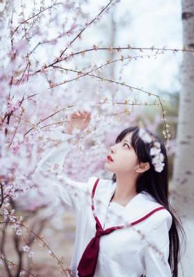 日本一道本高清一区二区_BD韩语免费高清观看